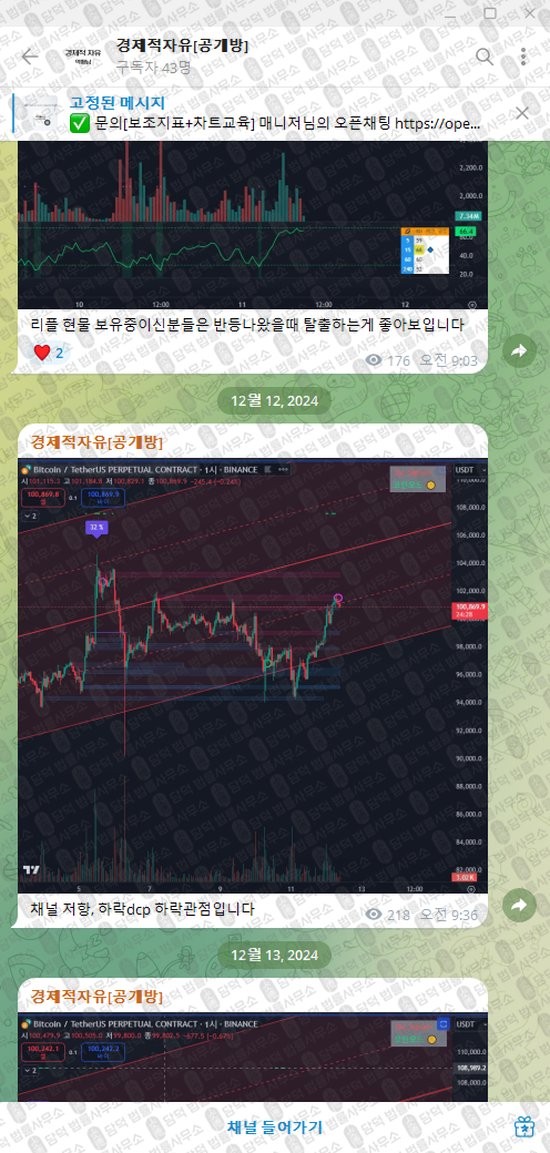 이 사진은 담덕법률사무소에서 캡쳐해둔 경제적자유(VIP) 웹사이트 캡쳐 사진이며 URL은 t.me 입니다.