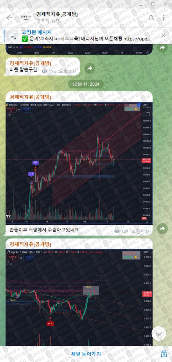 이 사진은 담덕법률사무소에서 캡쳐해둔 경제적자유(VIP) 웹사이트 캡쳐 사진이며 URL은 t.me 입니다.