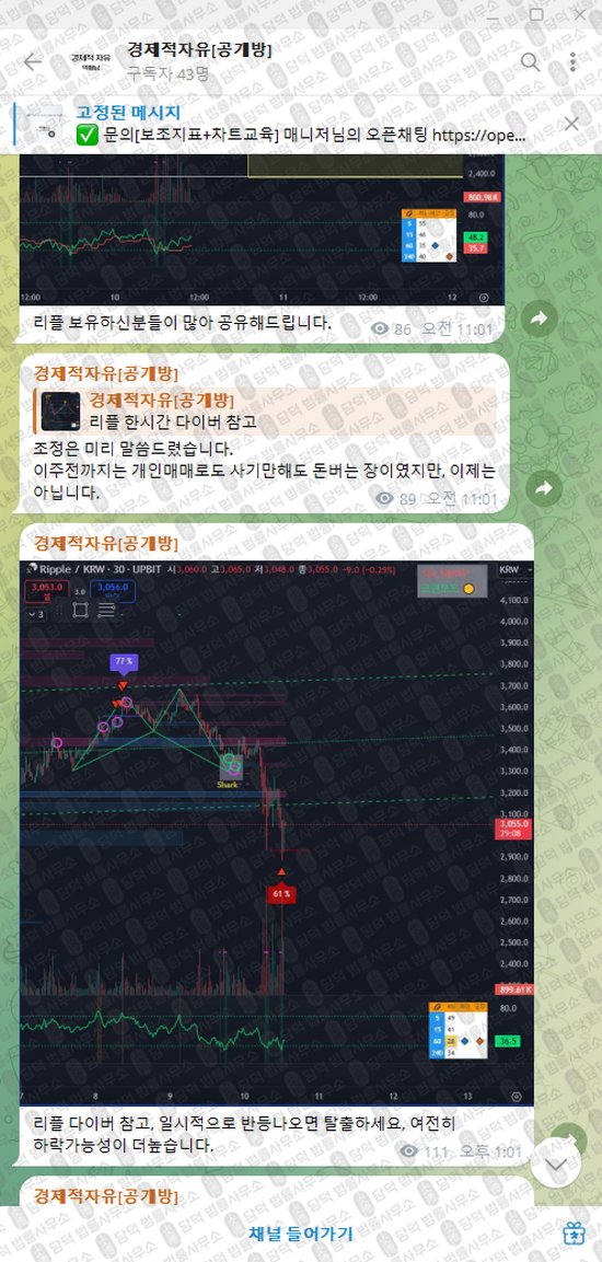 이 사진은 담덕법률사무소에서 캡쳐해둔 경제적자유(VIP) 웹사이트 캡쳐 사진이며 URL은 t.me 입니다.