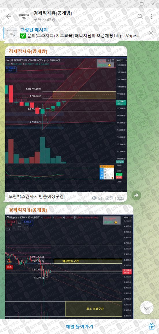 이 사진은 담덕법률사무소에서 캡쳐해둔 경제적자유(VIP) 웹사이트 캡쳐 사진이며 URL은 t.me 입니다.