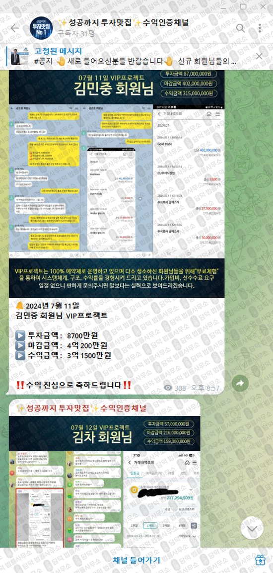 이 사진은 담덕법률사무소에서 캡쳐해둔 성공까지(VIP) 웹사이트 캡쳐 사진이며 URL은 t.me 입니다.