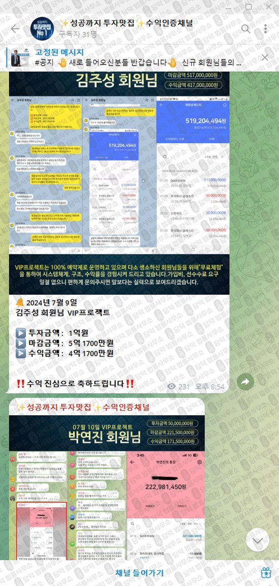 이 사진은 담덕법률사무소에서 캡쳐해둔 성공까지(VIP) 웹사이트 캡쳐 사진이며 URL은 t.me 입니다.