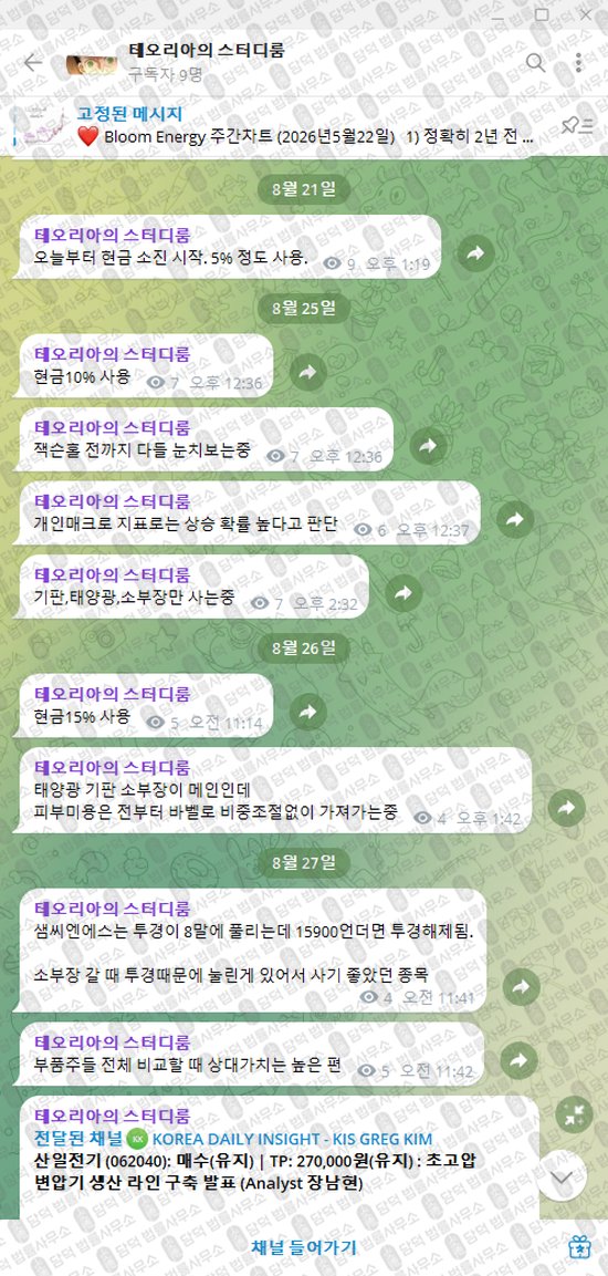 이 사진은 담덕법률사무소에서 캡쳐해둔 테오리아의(VIP) 웹사이트 캡쳐 사진이며 URL은 t.me 입니다.
