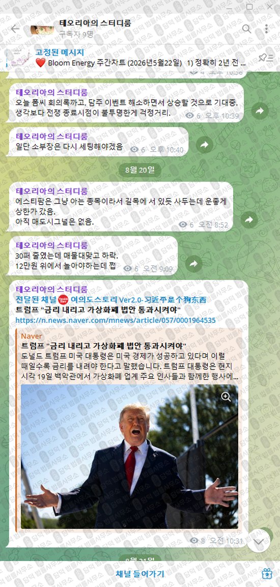 이 사진은 담덕법률사무소에서 캡쳐해둔 테오리아의(VIP) 웹사이트 캡쳐 사진이며 URL은 t.me 입니다.