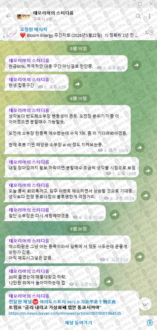 이 사진은 담덕법률사무소에서 캡쳐해둔 테오리아의(VIP) 웹사이트 캡쳐 사진이며 URL은 t.me 입니다.