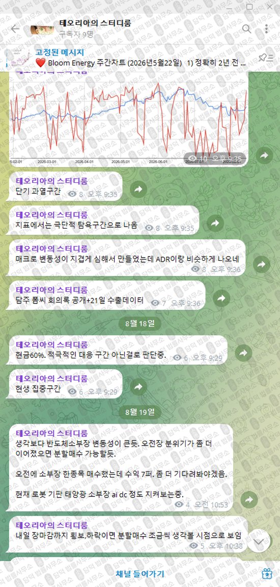 이 사진은 담덕법률사무소에서 캡쳐해둔 테오리아의(VIP) 웹사이트 캡쳐 사진이며 URL은 t.me 입니다.