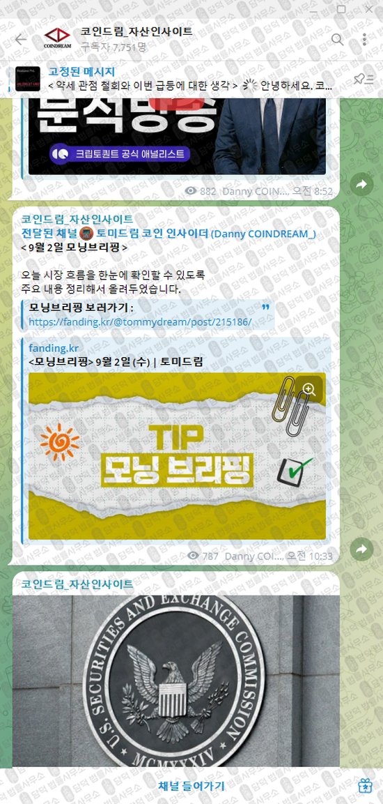 이 사진은 담덕법률사무소에서 캡쳐해둔 코인드림(VIP) 웹사이트 캡쳐 사진이며 URL은 t.me 입니다.