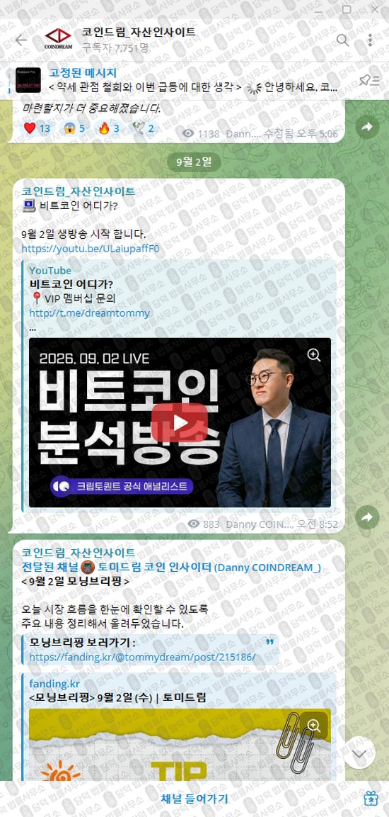 이 사진은 담덕법률사무소에서 캡쳐해둔 코인드림(VIP) 웹사이트 캡쳐 사진이며 URL은 t.me 입니다.
