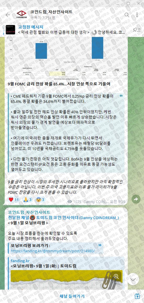 이 사진은 담덕법률사무소에서 캡쳐해둔 코인드림(VIP) 웹사이트 캡쳐 사진이며 URL은 t.me 입니다.