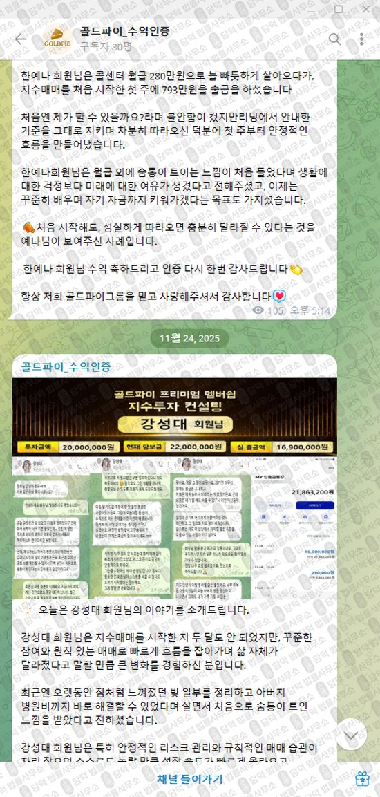 이 사진은 담덕법률사무소에서 캡쳐해둔 골드파이(VIP) 웹사이트 캡쳐 사진이며 URL은 t.me 입니다.