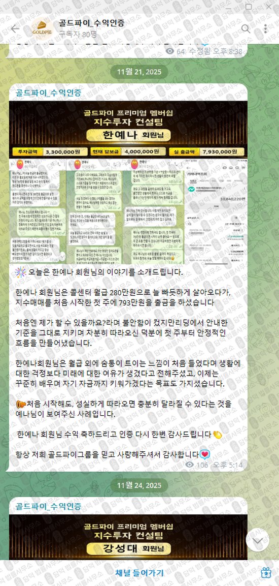 이 사진은 담덕법률사무소에서 캡쳐해둔 골드파이(VIP) 웹사이트 캡쳐 사진이며 URL은 t.me 입니다.