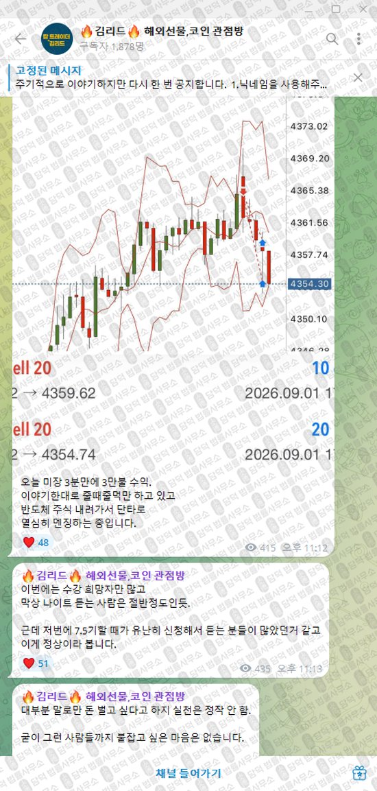이 사진은 담덕법률사무소에서 캡쳐해둔 김리드(VIP) 웹사이트 캡쳐 사진이며 URL은 t.me 입니다.
