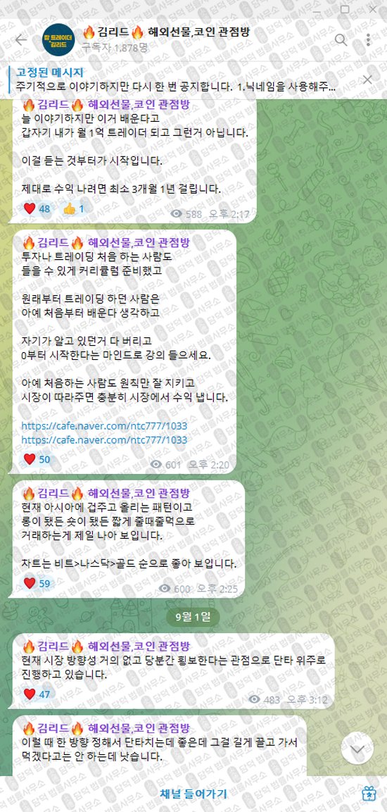 이 사진은 담덕법률사무소에서 캡쳐해둔 김리드(VIP) 웹사이트 캡쳐 사진이며 URL은 t.me 입니다.