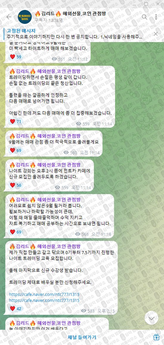 이 사진은 담덕법률사무소에서 캡쳐해둔 김리드(VIP) 웹사이트 캡쳐 사진이며 URL은 t.me 입니다.