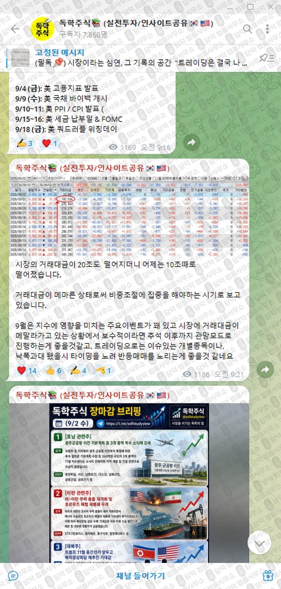 이 사진은 담덕법률사무소에서 캡쳐해둔 독학주식(VIP) 웹사이트 캡쳐 사진이며 URL은 t.me 입니다.