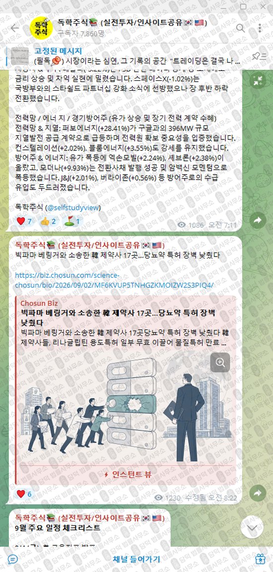 이 사진은 담덕법률사무소에서 캡쳐해둔 독학주식(VIP) 웹사이트 캡쳐 사진이며 URL은 t.me 입니다.
