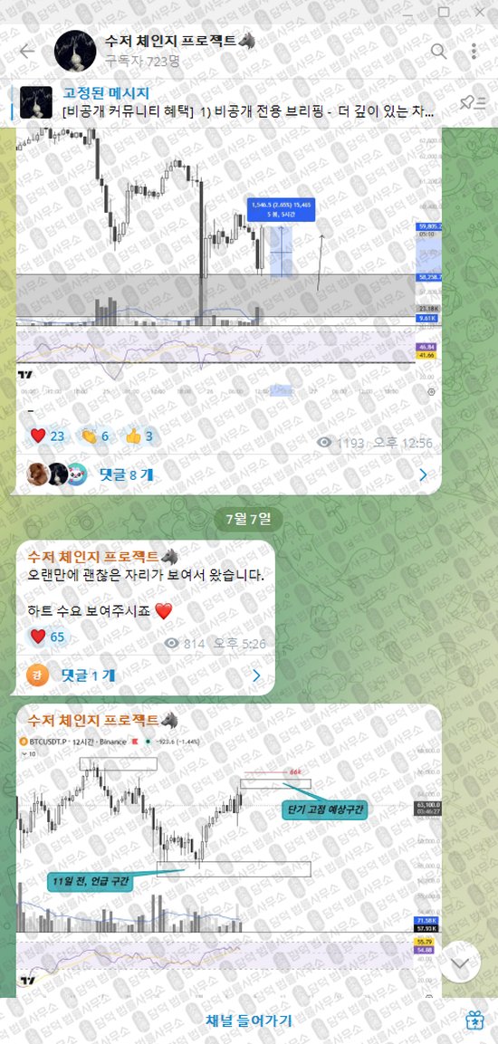 이 사진은 담덕법률사무소에서 캡쳐해둔 수저(VIP) 웹사이트 캡쳐 사진이며 URL은 t.me 입니다.