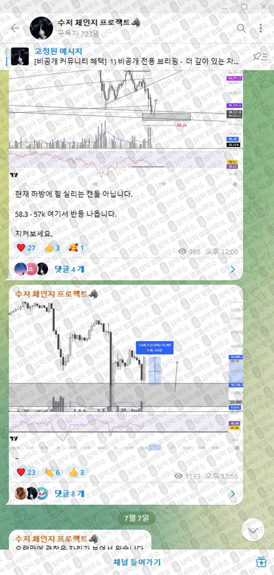 이 사진은 담덕법률사무소에서 캡쳐해둔 수저(VIP) 웹사이트 캡쳐 사진이며 URL은 t.me 입니다.