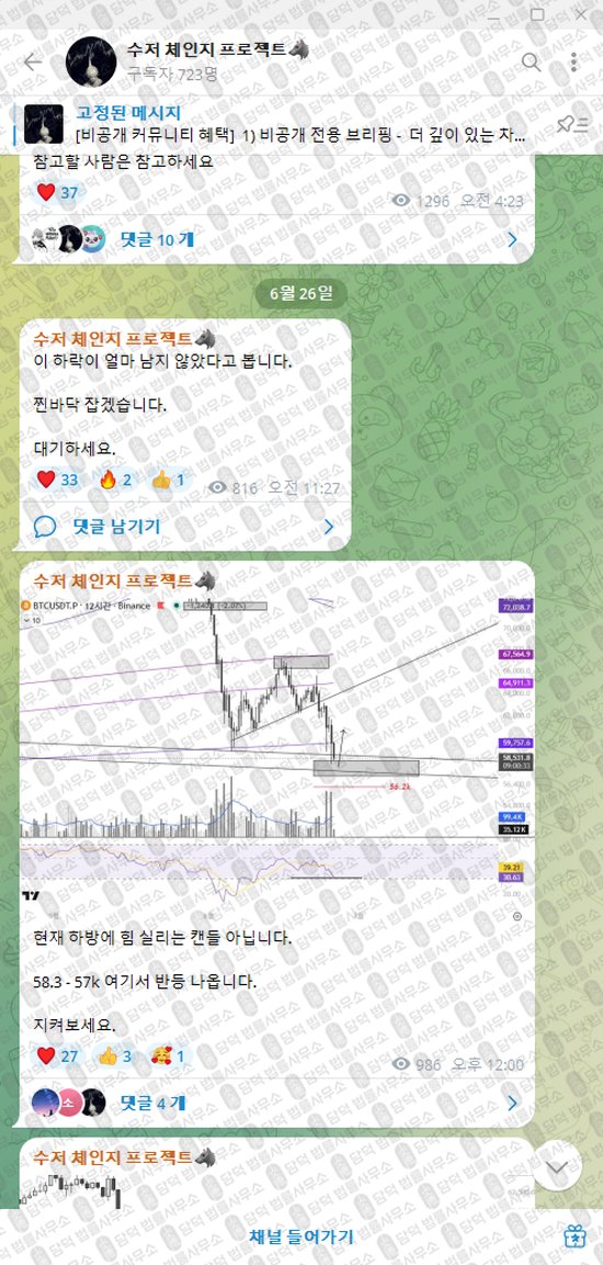 이 사진은 담덕법률사무소에서 캡쳐해둔 수저(VIP) 웹사이트 캡쳐 사진이며 URL은 t.me 입니다.