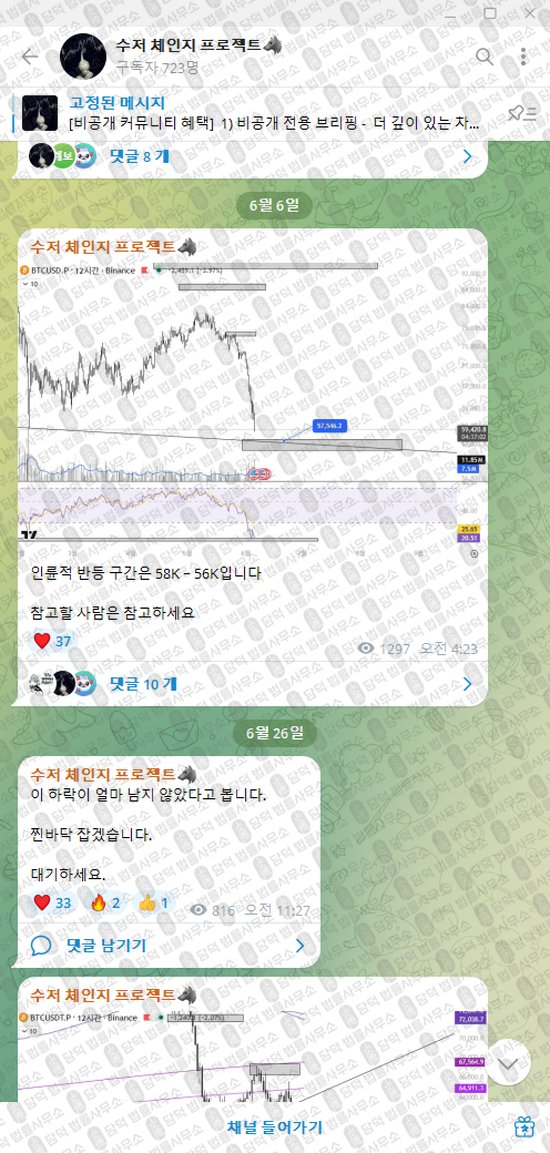 이 사진은 담덕법률사무소에서 캡쳐해둔 수저(VIP) 웹사이트 캡쳐 사진이며 URL은 t.me 입니다.