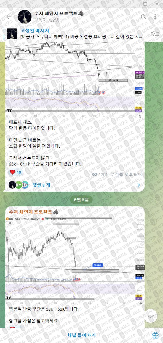 이 사진은 담덕법률사무소에서 캡쳐해둔 수저(VIP) 웹사이트 캡쳐 사진이며 URL은 t.me 입니다.