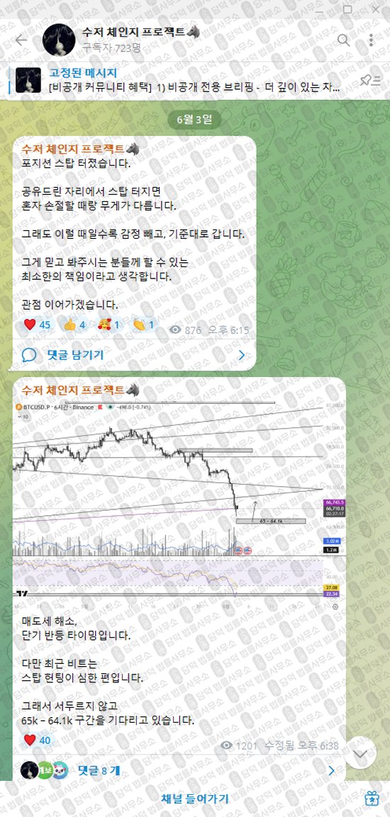 이 사진은 담덕법률사무소에서 캡쳐해둔 수저(VIP) 웹사이트 캡쳐 사진이며 URL은 t.me 입니다.