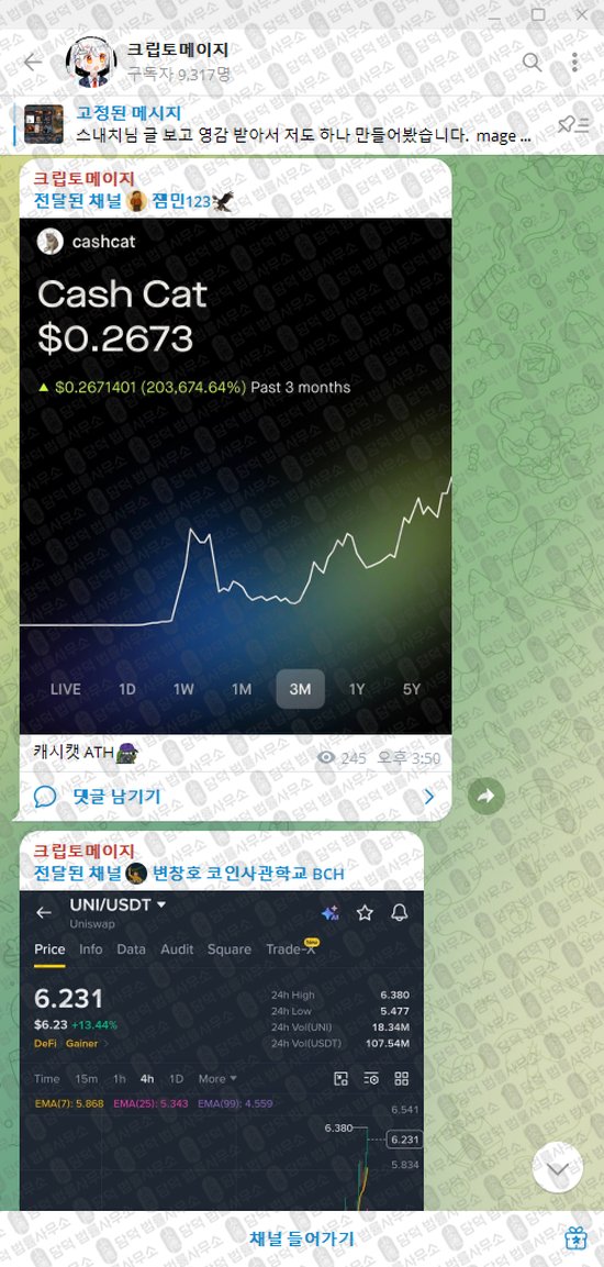 이 사진은 담덕법률사무소에서 캡쳐해둔 크립토메이지(VIP) 웹사이트 캡쳐 사진이며 URL은 t.me 입니다.