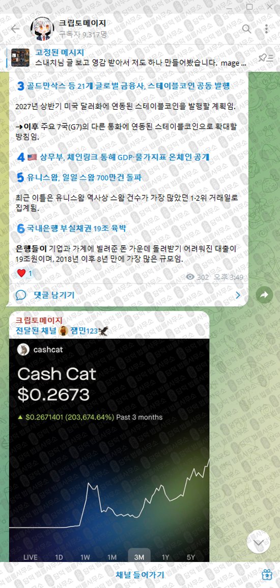 이 사진은 담덕법률사무소에서 캡쳐해둔 크립토메이지(VIP) 웹사이트 캡쳐 사진이며 URL은 t.me 입니다.