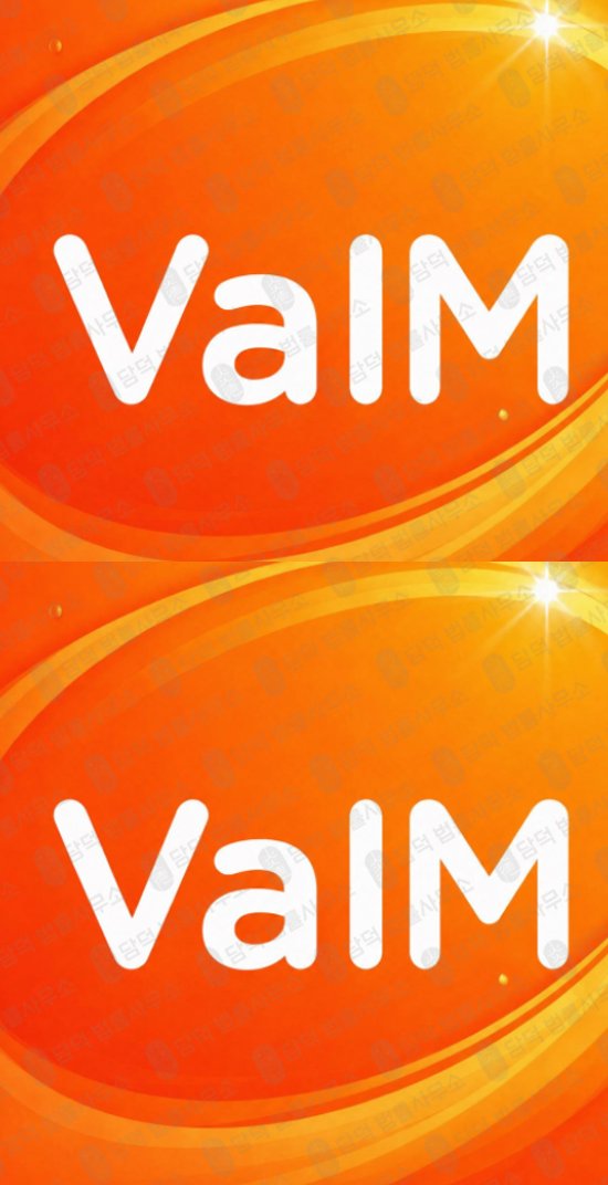 이 사진은 담덕법률사무소에서 캡쳐해둔 폰지사기(VaIM PRO) 웹사이트 캡쳐 사진이며 URL은 google.com 입니다.