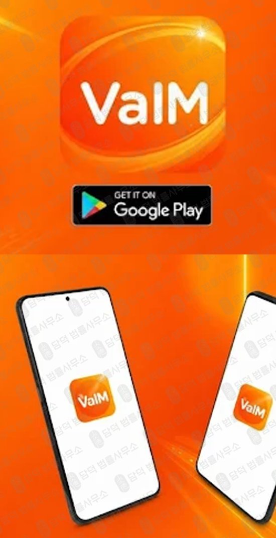 이 사진은 담덕법률사무소에서 캡쳐해둔 폰지사기(VaIM PRO) 웹사이트 캡쳐 사진이며 URL은 google.com 입니다.